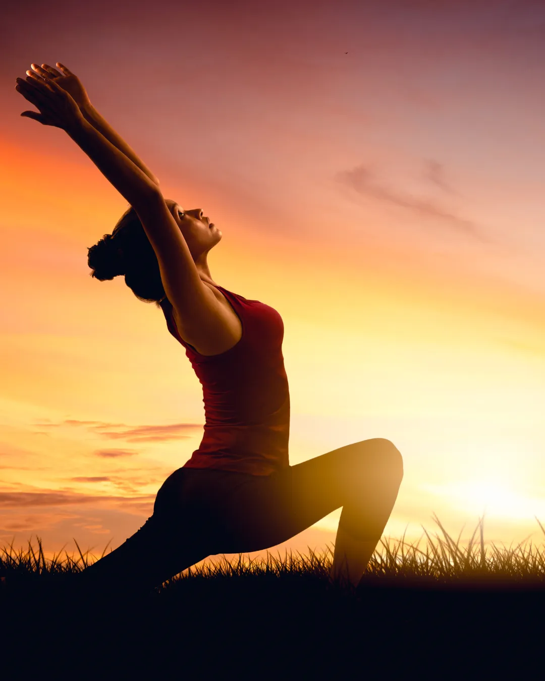 green trees on brown soil