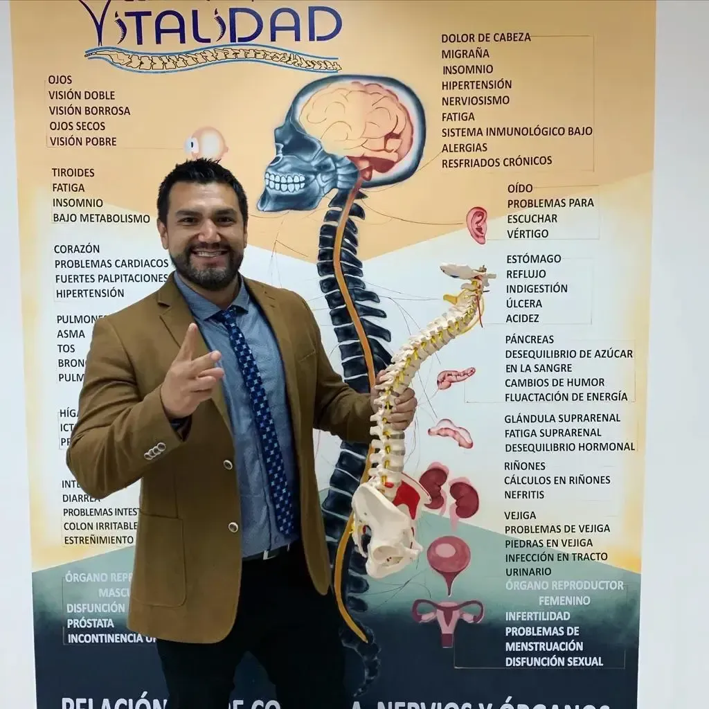 Dr. Juan Rivera sonriente sosteniendo una columna vertebral frente a mural de órganos y sistema nervioso, demostrando la conexión entre columna y salud integral en Centro Quiropráctico Vitalidad