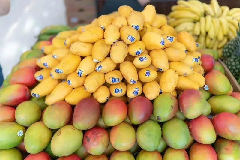mangos in memphis, tn