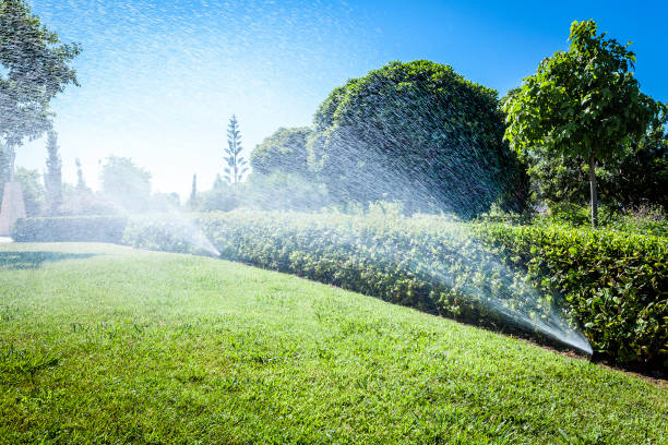 artificial turf around pool