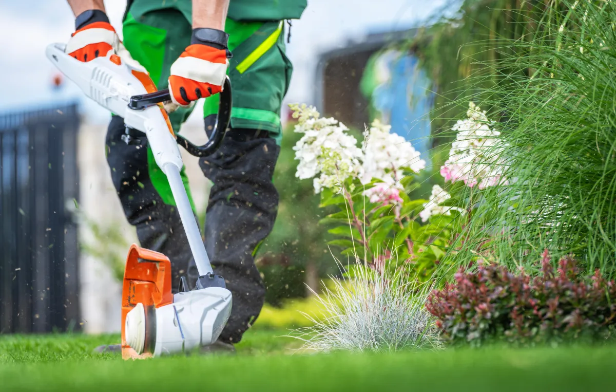 Grass Cutting Service Near Me