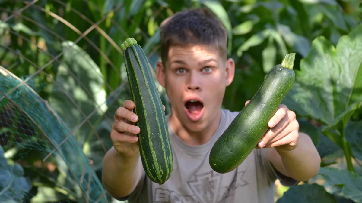 Meet Your Instructor