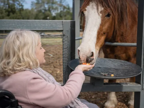 Day Programs NDIS support in Sydney