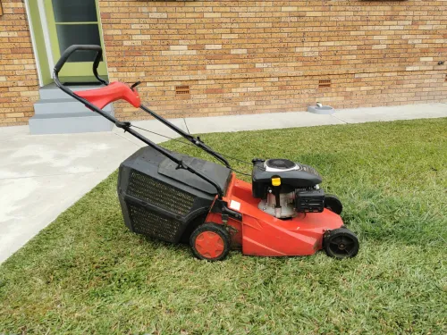 Yard Maintenance Assistance NDIS support in Sydney