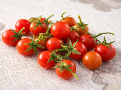 Yard Maintenance Support