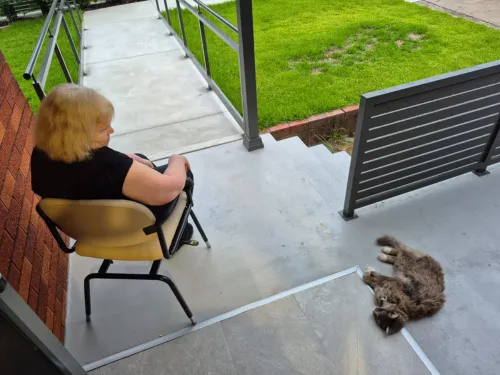 Support Coordination