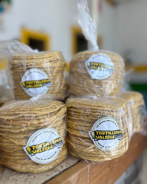 person holding and testing test tube