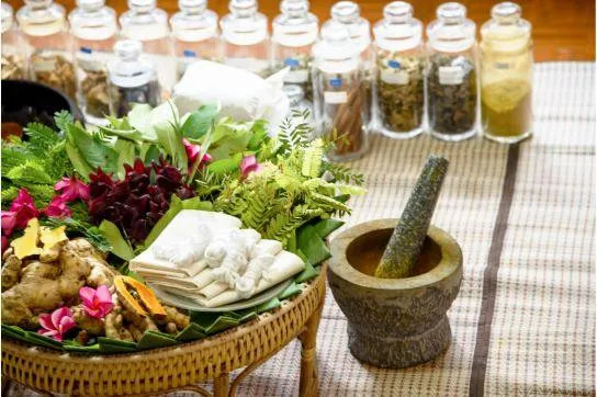 Functional medicine provider consulting with client to uncover root causes of symptoms
