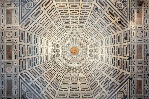 El enigma de la consciencia: ¿Somos más que procesos biológicos?