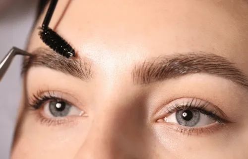 Baldwin, FL Powder Brows