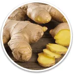 alpilean-supplement-Ingredient-Ginger Rhizome