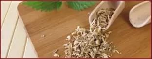 redboost-ingredient-Nettle Root