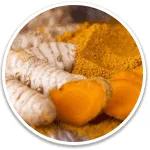 alpilean-supplement-Ingredient-Turmeric Rhizome