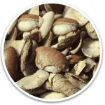 alpilean-supplement-Ingredient-Dika Nut