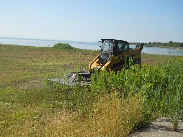 Charleston SC Vegetation Management