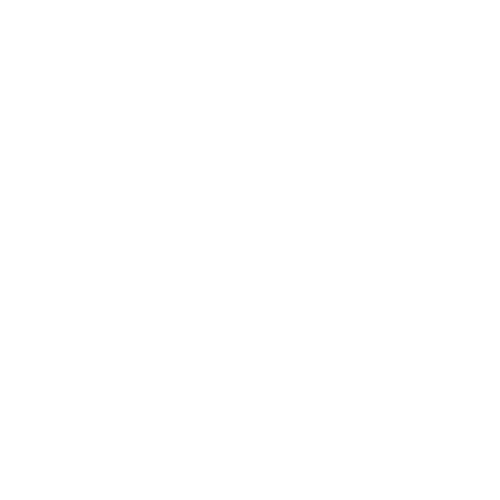 Protect - Icon