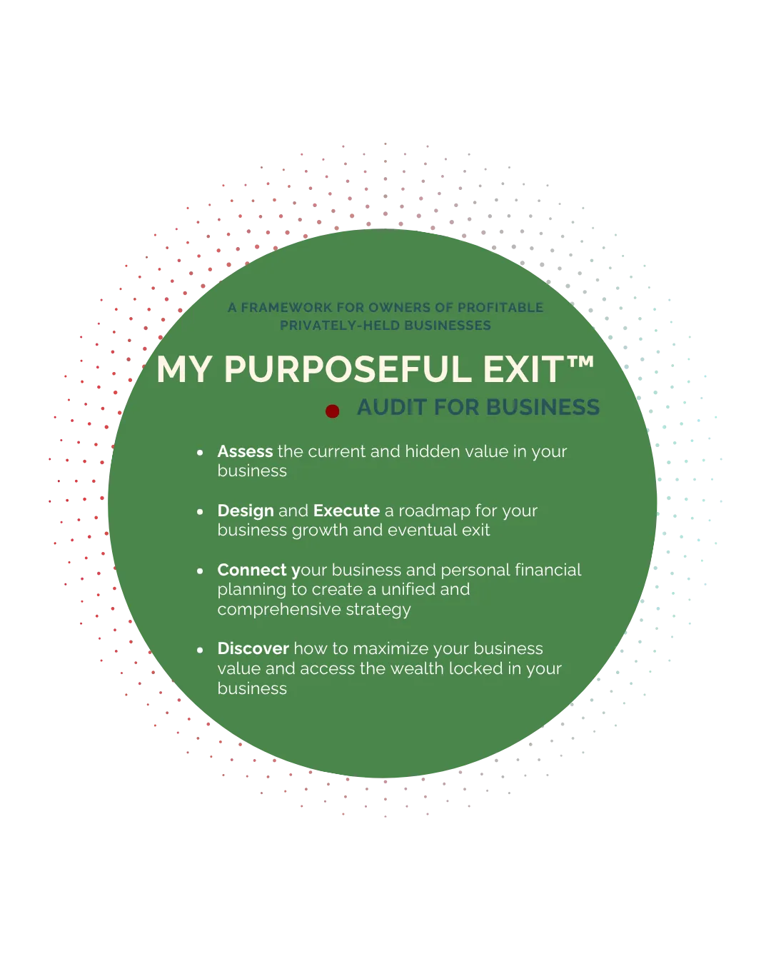 My Purposeful Exit™ Audit for Business