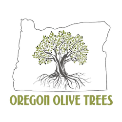 Oregon Olive Trees Logo