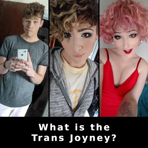 What is the Trans Joyney?