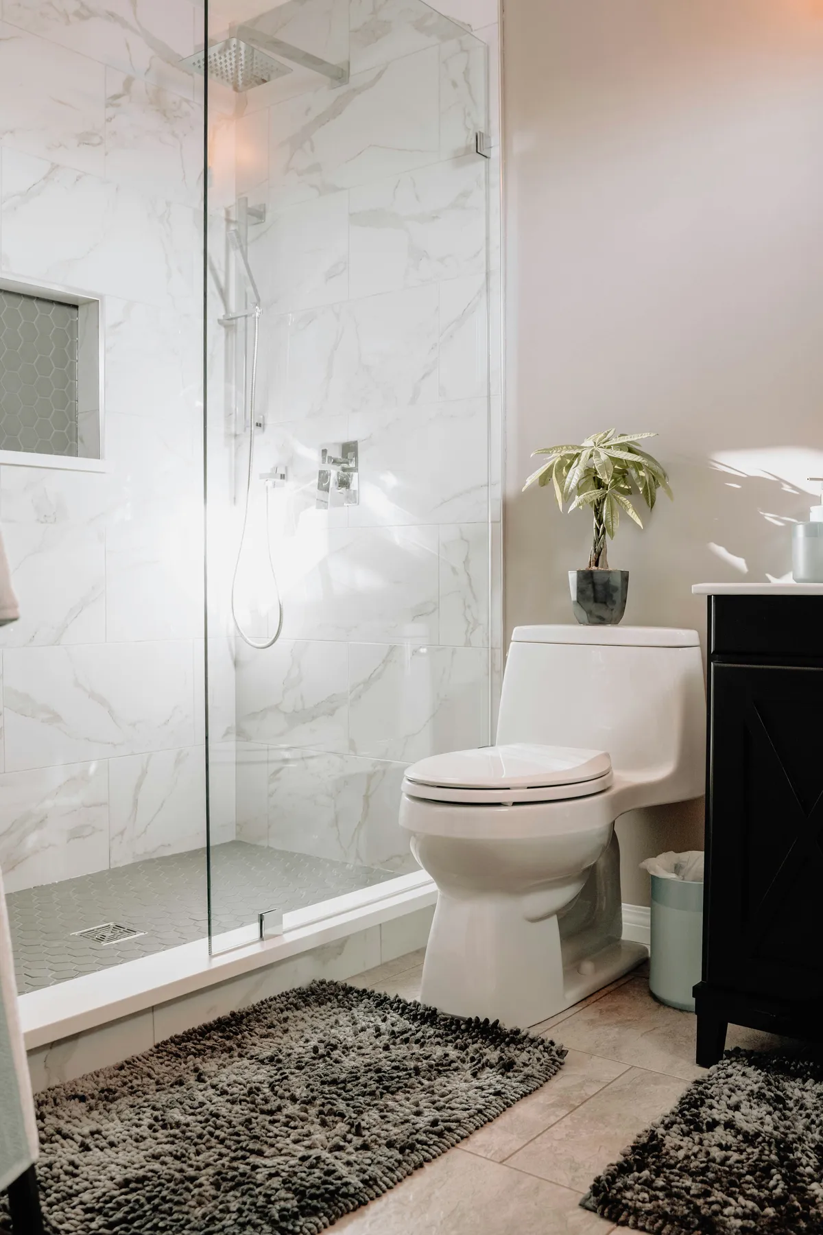 shower beside toilet with a glass wall divider