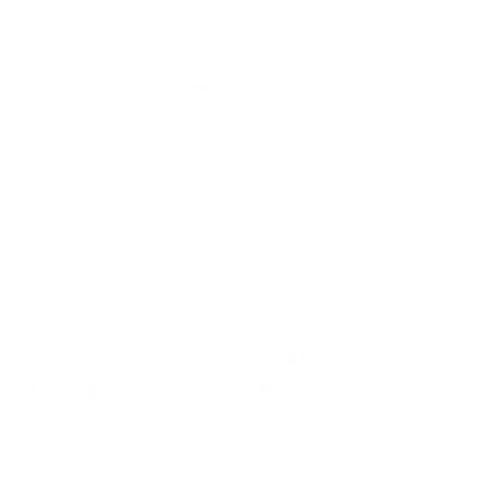 Faris Jean Logo