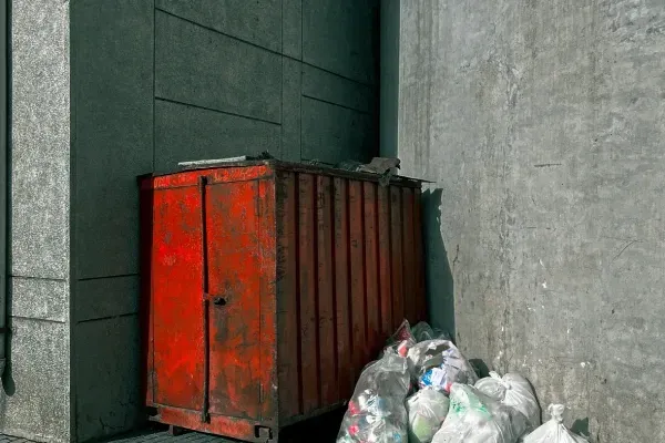 Professional Dumpster Cleaning Services in Carrollton, TX | GO Bin Cleaners