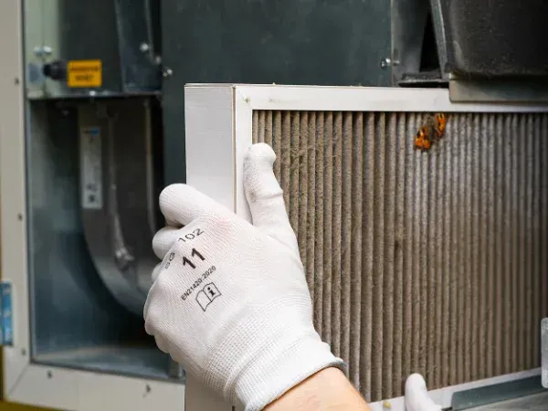 A gloved hand removing a very dirty, dusty air filter from an HVAC unit, revealing a small moth stuck to it.