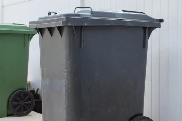 The Best Time of Year for Trash Can Cleaning in Flower Mound