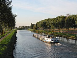 Equipropulsion - Thérapie, équicoaching et kinésiologie - Lille