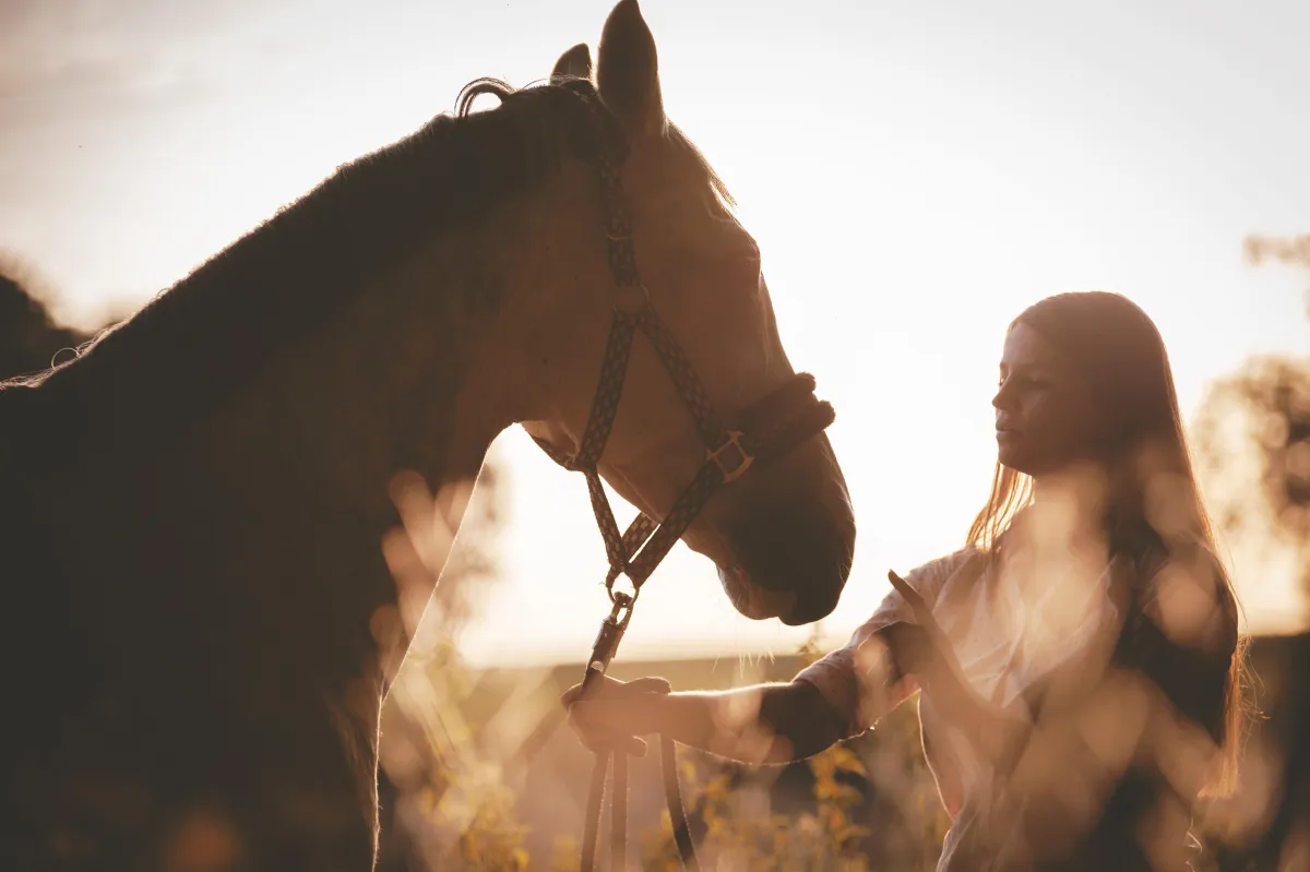 Equicoaching