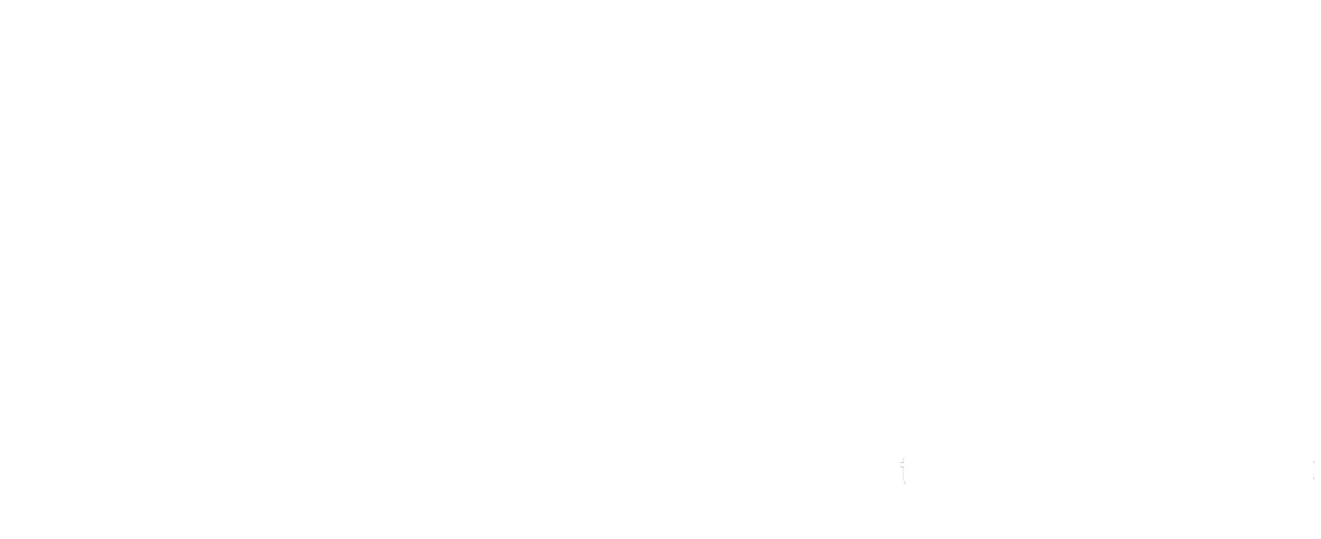 in cleaning we trust branson missouri