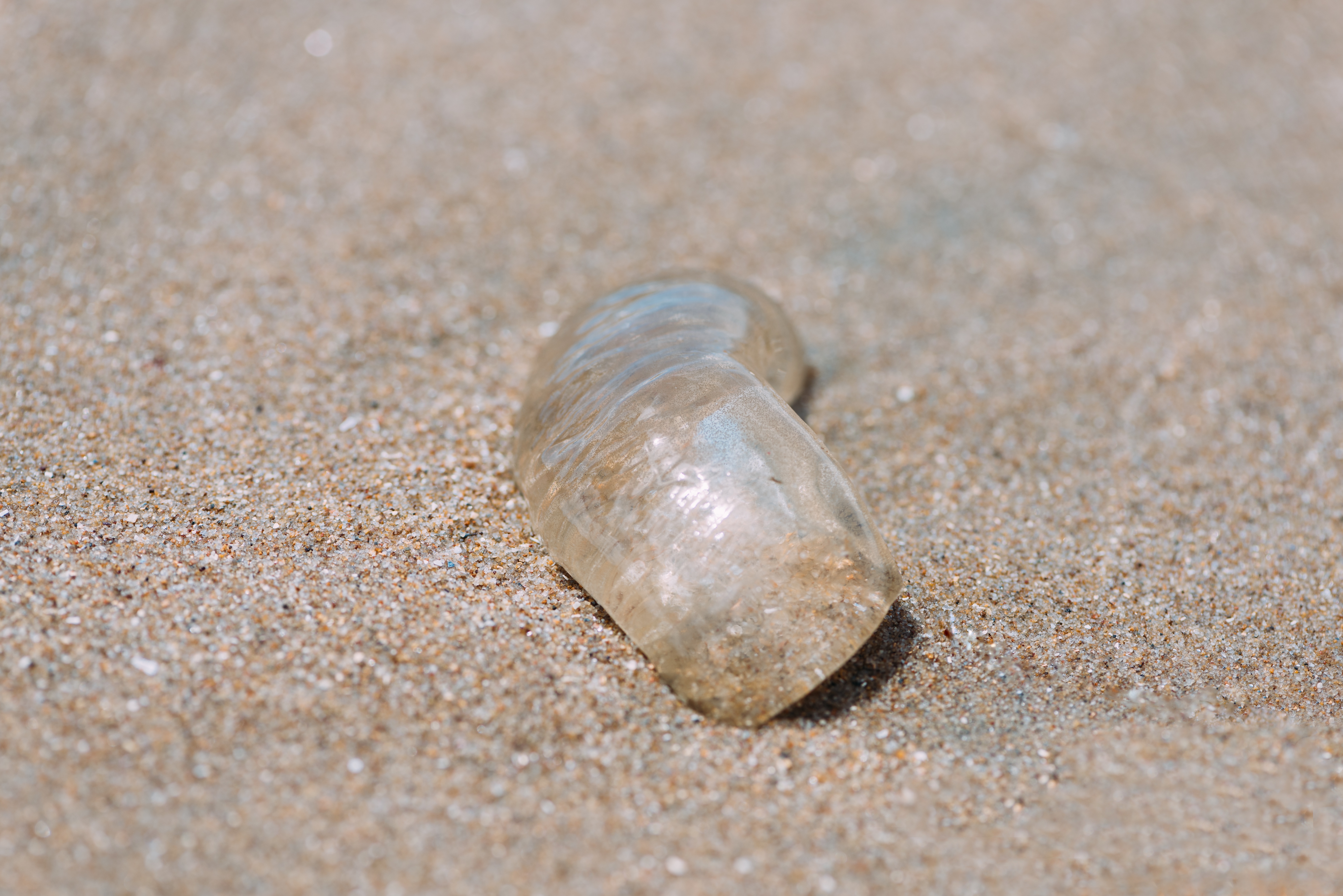 Beachcombing for Agates