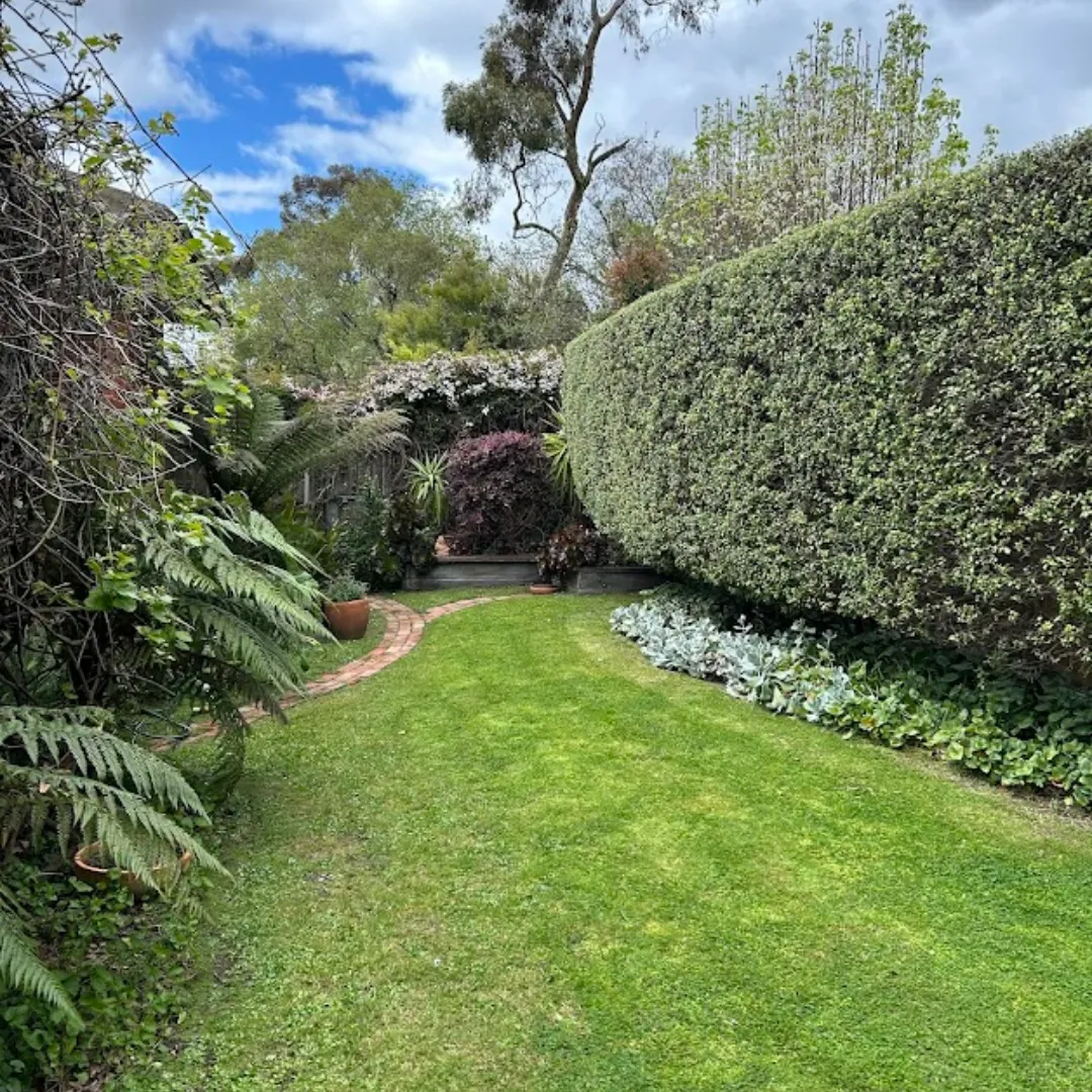 lawn mowing Glen Iris backyard with trimmed hedges