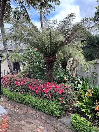 garden maintenance Glen Iris plant care