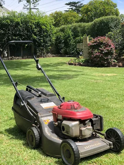 Lawn mowing Glen Iris edging service