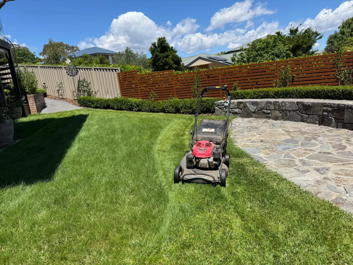 lawn mowing Glen Iris maintained lawn