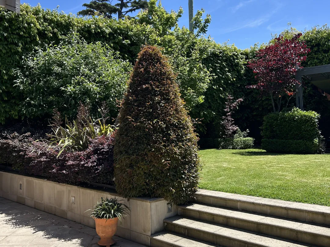 Garden Maintenance Glen Iris – Pruning and Garden Care