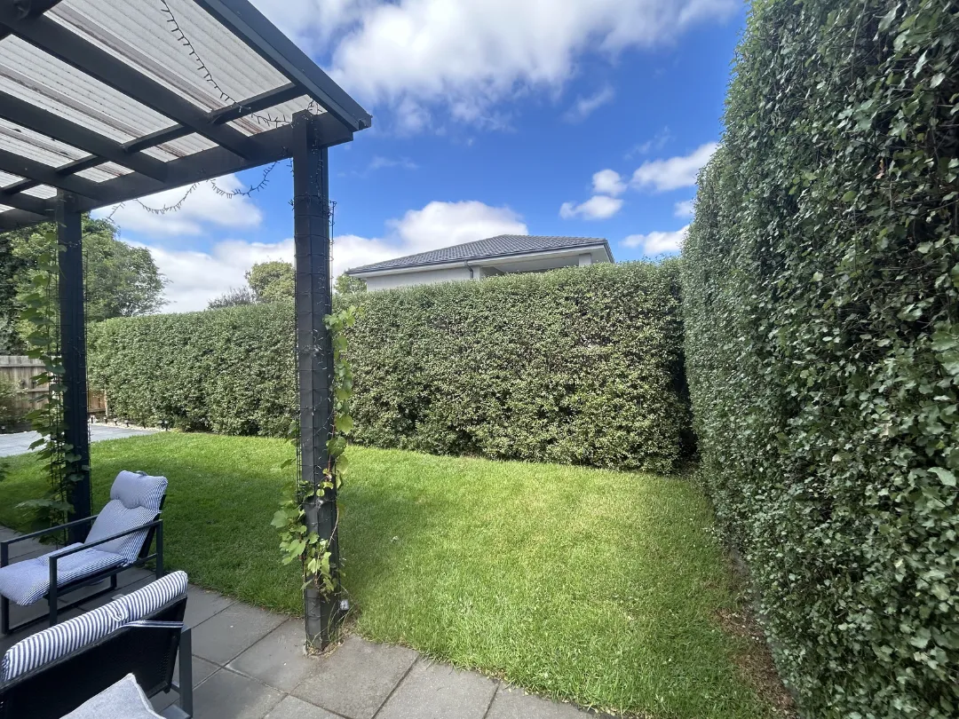 Garden Maintenance Glen Iris – Pruning and Garden Care