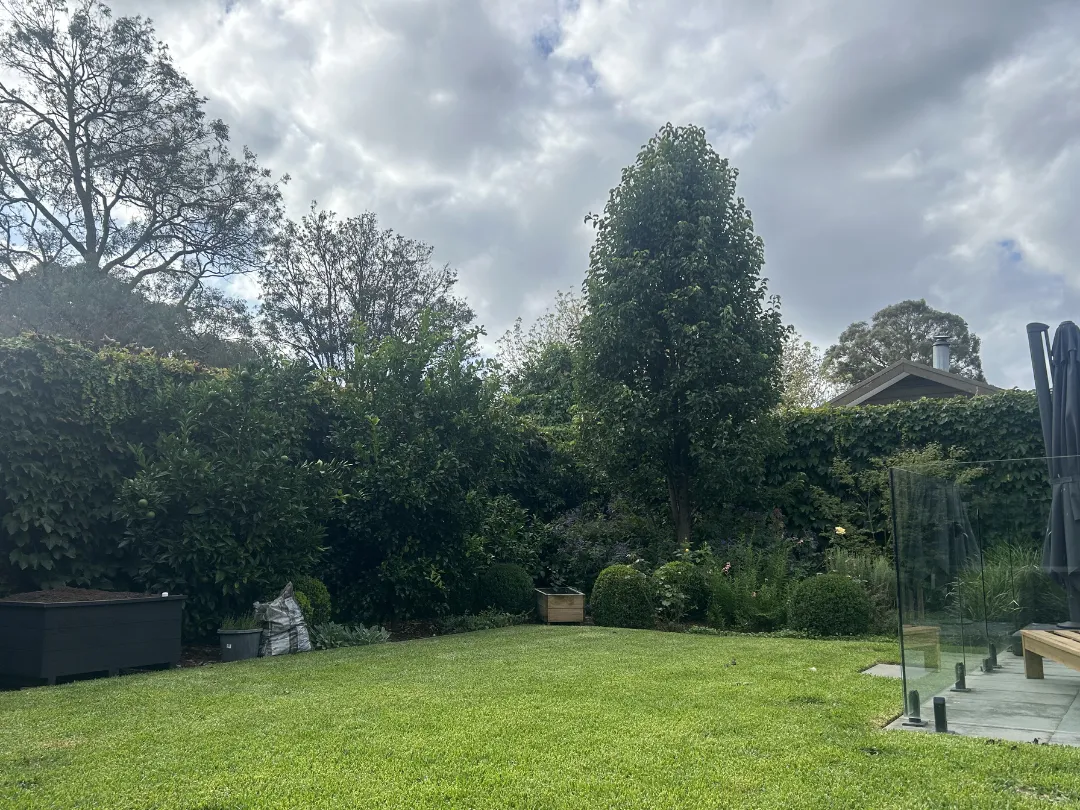 Garden Maintenance Glen Iris – Pruning and Garden Care