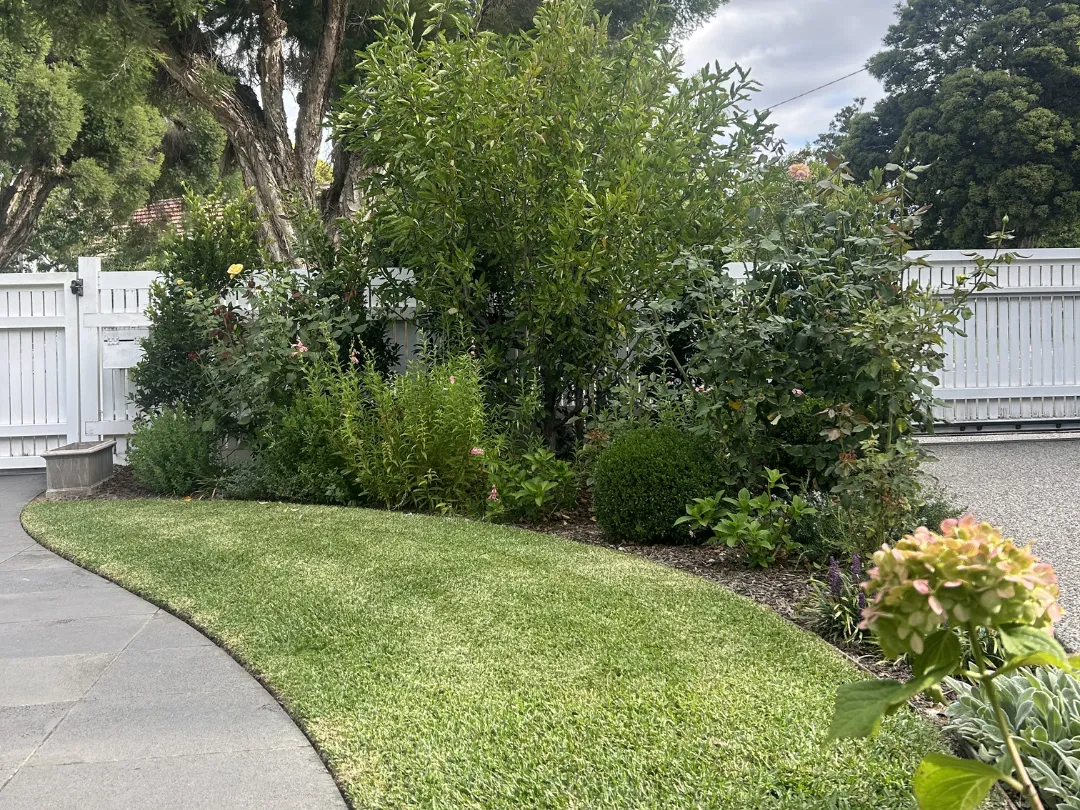 Garden Maintenance Glen Iris – Pruning and Garden Care