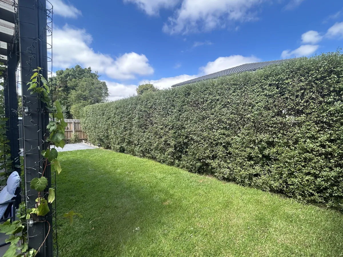 garden maintenance Glen Iris front yard landscaping