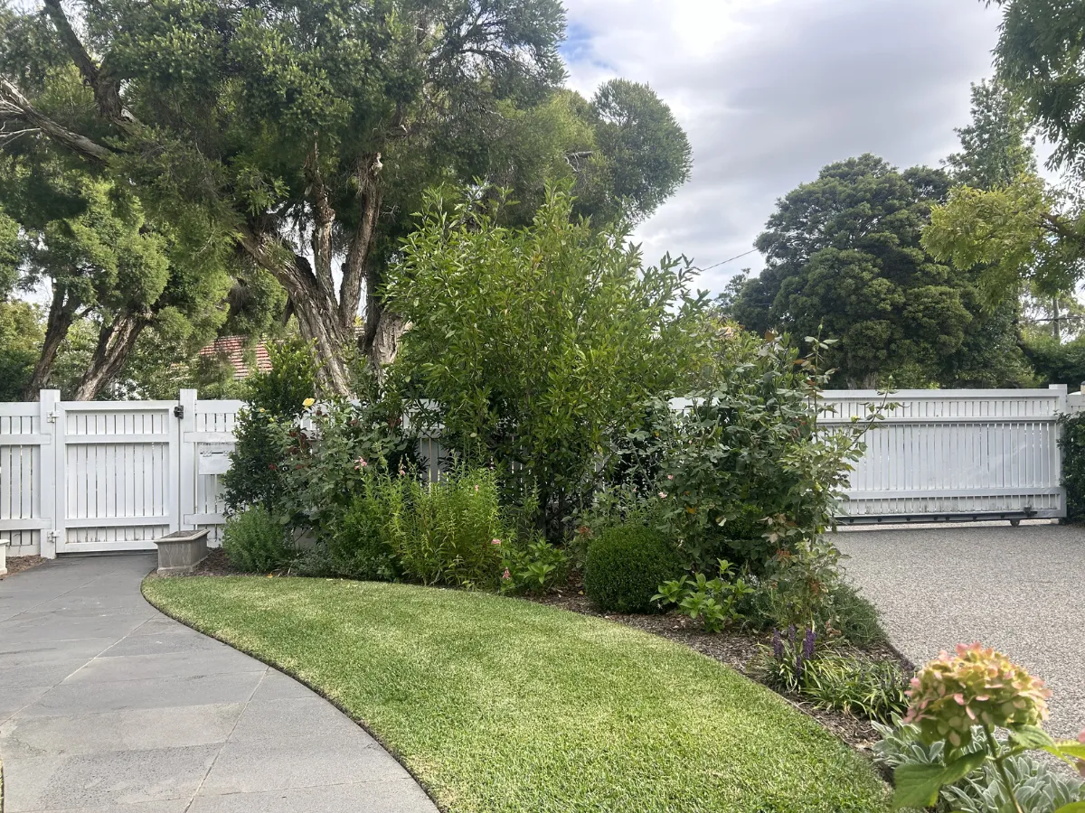 lawn mowing Glen Iris neat garden bed edging
