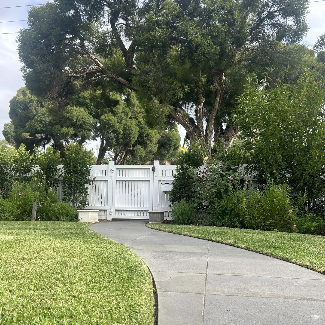 lawn mowing Glen Iris backyard maintenance