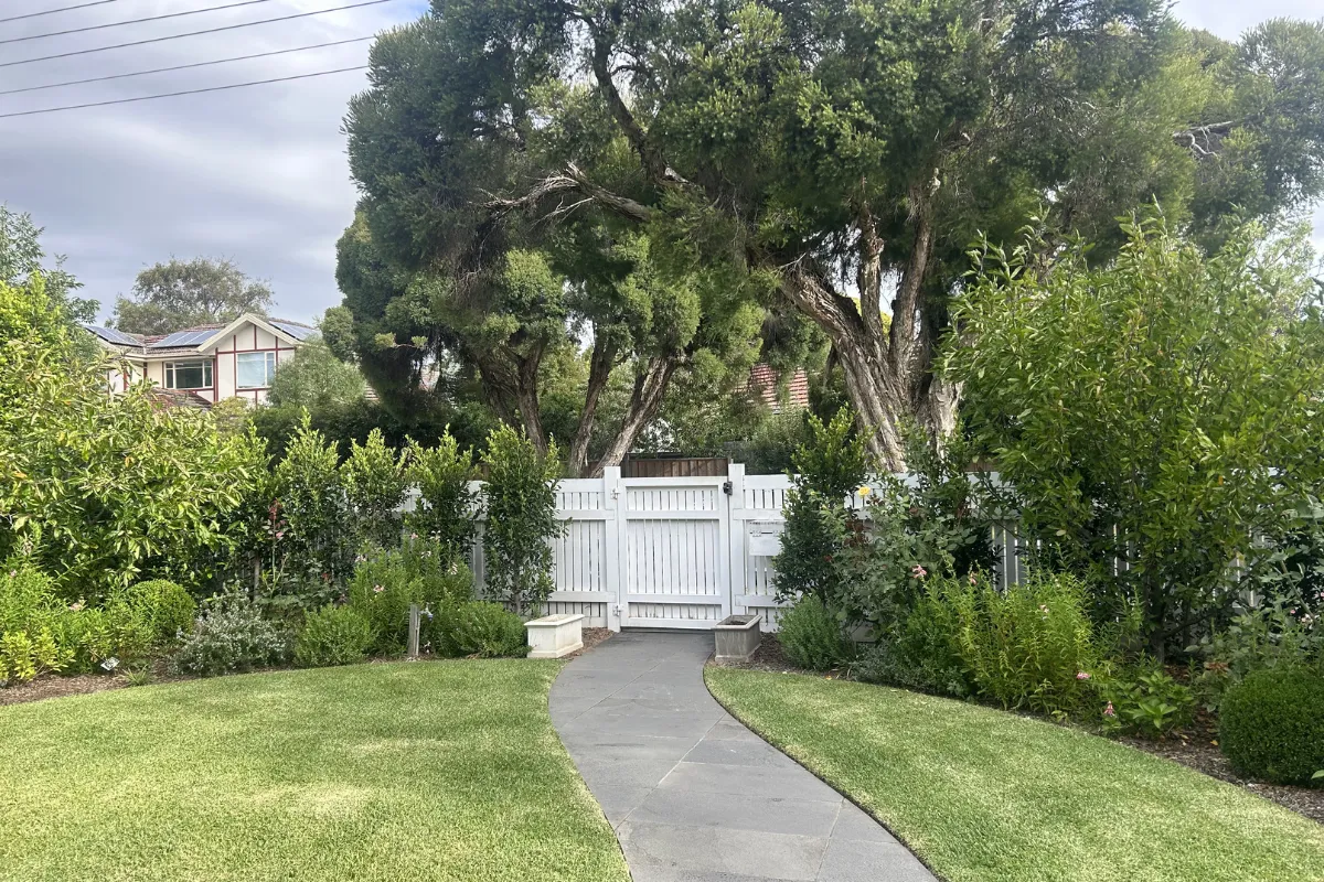 Lawn mowing Glen Iris residential lawn