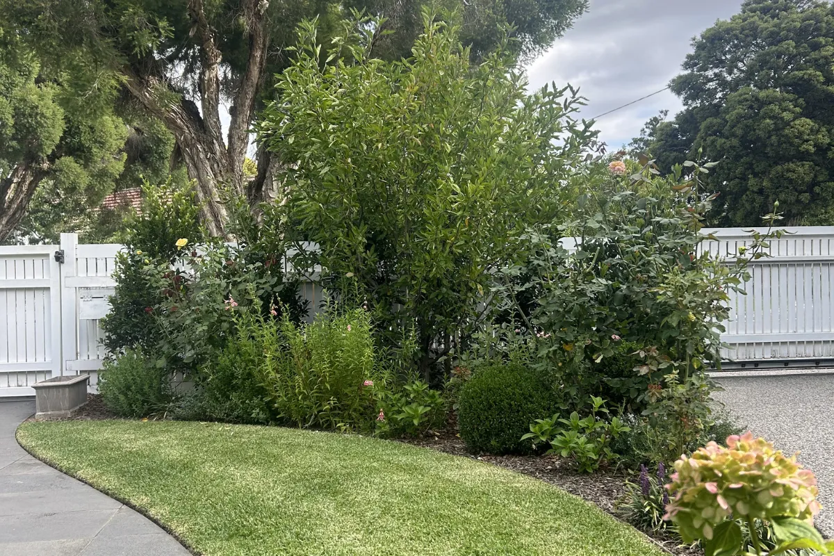 Commercial lawn mowing Glen Iris property