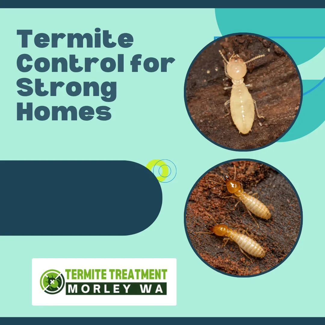 Termite control solutions
