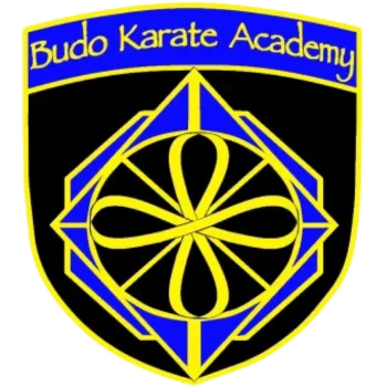 Budo Karate Academy Social Media