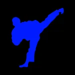 Budo Karate Academy Dojo Symbol Meaning Blue