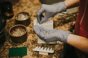 Placenta prepared for the encapsulation process