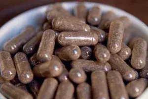 Prepared placenta capsules as part of the encapsulation service